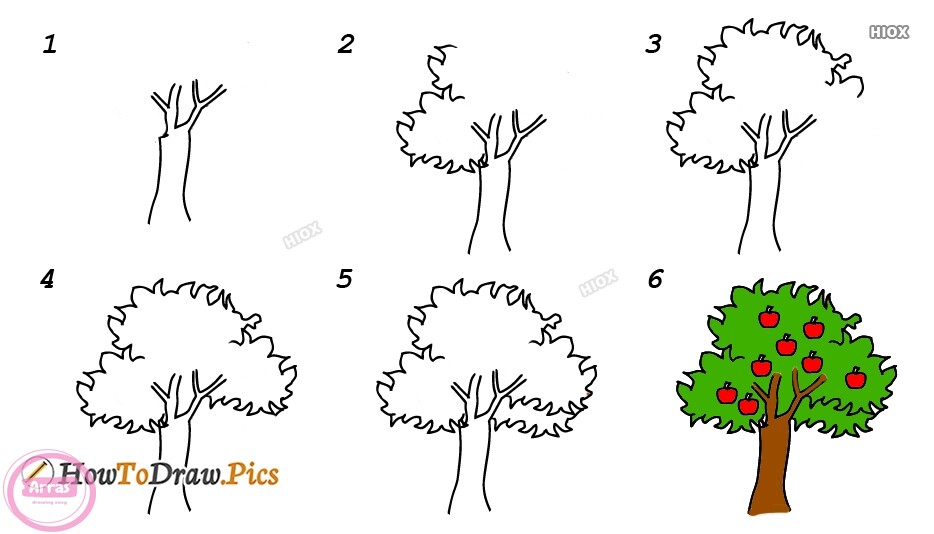 آموزش کشیدن نقاشی درخت سیب